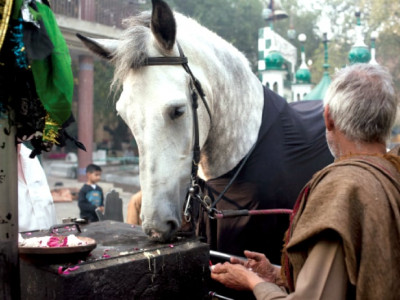 venerated visitors at imambargah babul hawaij drawn to zuljinah venerated visitors at imambargah babul hawaij drawn to zuljinah