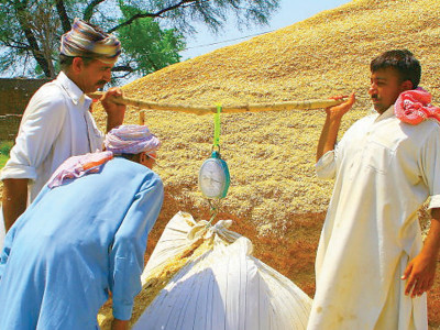 increase in wheat support price a belated decision