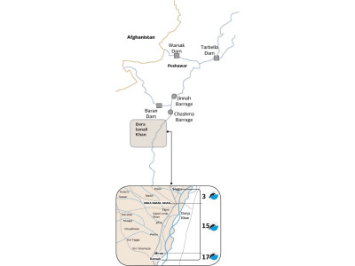 k p s dolphins may be rare and blind but they can sense trouble when it comes k p s dolphins may be rare and blind but they can sense trouble when it comes