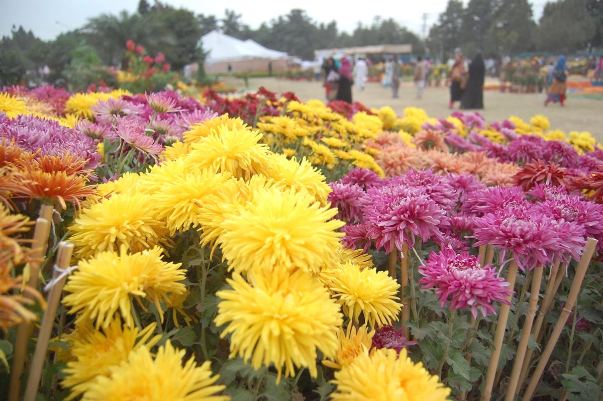 Updated Nov 27, 2012