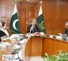 executive influencing court experts