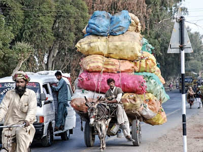 fog crushing season get reflectors installed your rear lights fixed