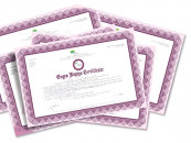 ibcc suspends verification of matric inter certificates amid cyberattack threats