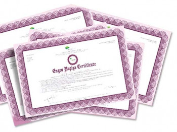 ibcc suspends verification of matric inter certificates amid cyberattack threats