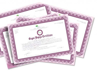 IBCC suspends certificate verification process