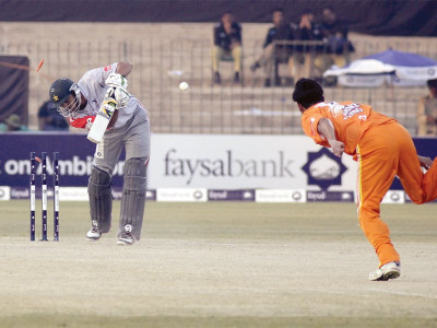 roaring lions send six time winners stallions galloping home