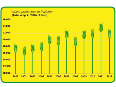 land and bread despite support price wheat farmers struggle financially land and bread despite support price wheat farmers struggle financially