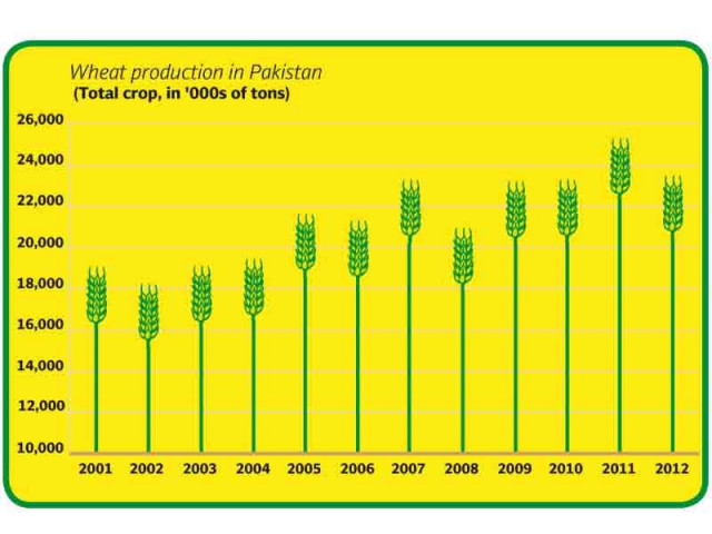 land and bread despite support price wheat farmers struggle financially