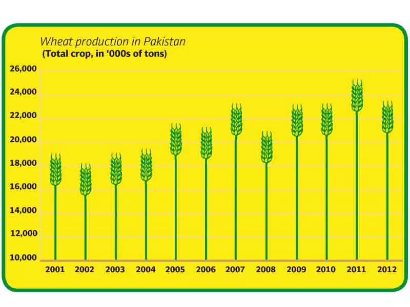 land and bread despite support price wheat farmers struggle financially land and bread despite support price wheat farmers struggle financially