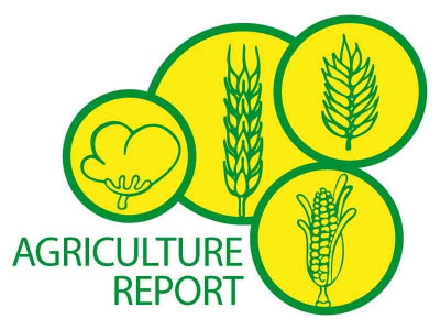 liberalisation the case for a free market in pakistani agriculture liberalisation the case for a free market in pakistani agriculture