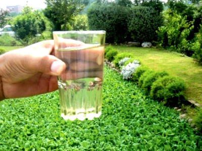 river ravi commission experts propose bioremediation site river ravi commission experts propose bioremediation site