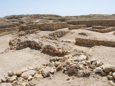 bhambhore ruins culture dept to hold international seminar