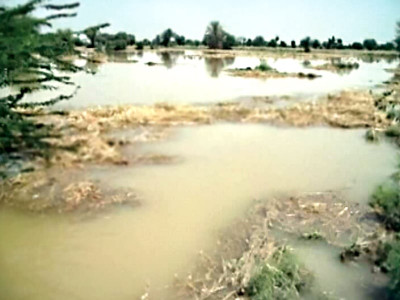 flooding prone trapped between streams and no walls to protect them flooding prone trapped between streams and no walls to protect them