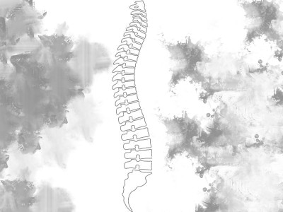 spine solution