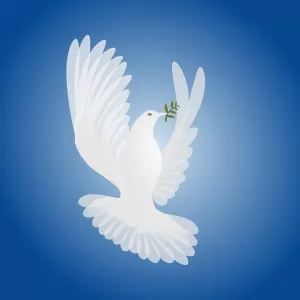 anti conflict initiative peace building workshop concludes anti conflict initiative peace building workshop concludes