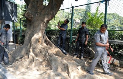 cricket bomb squad combs india pakistan match venue