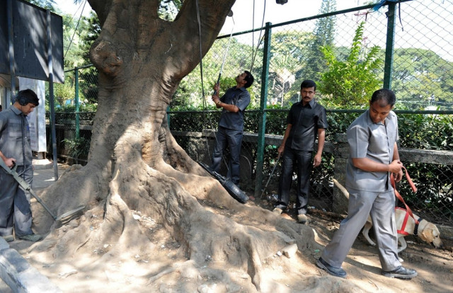cricket bomb squad combs india pakistan match venue cricket bomb squad combs india pakistan match venue