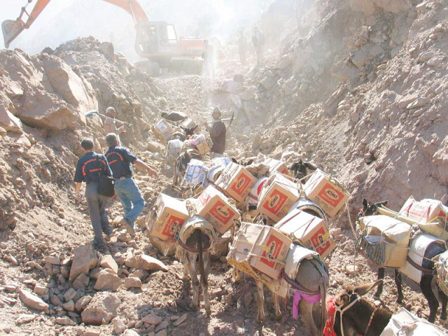 sona is one of pakistan s 4 7 million working animals each of which is a primary source of earning for some