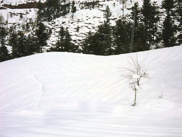 the minimum temperature dropped to nine degrees centigrade while the maximum temperature stood at 14 degrees photo fazal khaliq