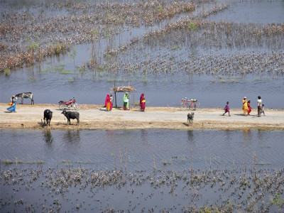 climate change environmental disasters are increasing but people s excesses just won t stop