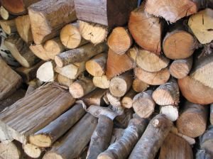 government officials of grade 17 and above are entitled to 45 kg firewood per day and officials of 16 grade and bellow are entitled to 23 kg firewood per day from november 16 till march 15 every year
