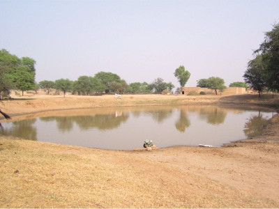 growing miracles growing miracles