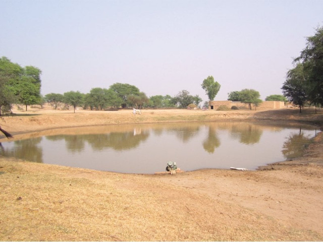 a natural rainwater pond in ghool village a natural rainwater pond in ghool village