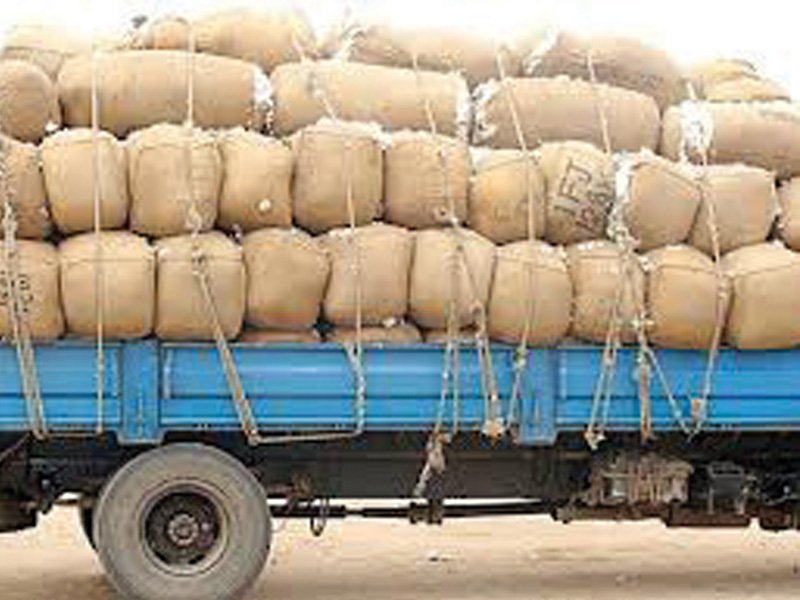 in punjab ginning factories got 8 35 million bales down 13 and in sindh the ginning units received 3 24 million bales up 35 photo file