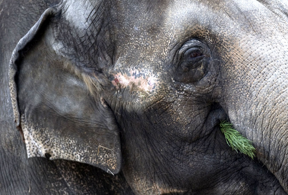 Updated Jan 05, 2013