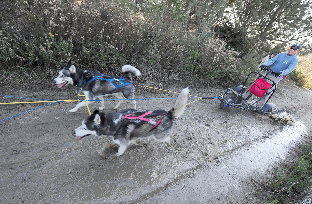 Updated Jan 08, 2013