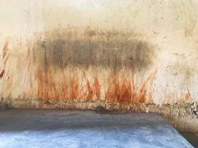 the spitters end up generating copious volumes of red saliva photo maheen humayun