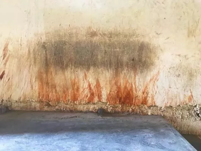 the spitters end up generating copious volumes of red saliva photo maheen humayun the spitters end up generating copious volumes of red saliva photo maheen humayun