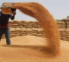 food ministry decides to supply wheat to k p