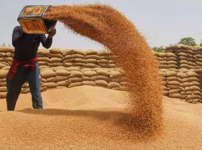 food ministry decides to supply wheat to k p