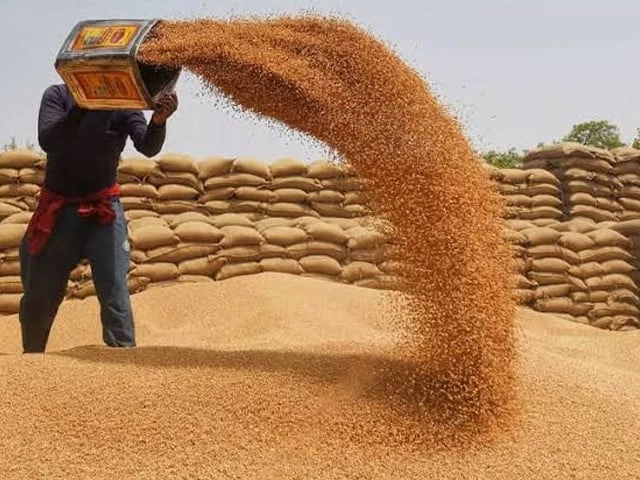 Food ministry decides to supply wheat to K-P
