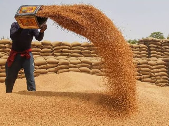 Federal govt orders wheat supply to KP