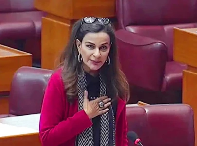 ppp won t back telecom bill with draconian clauses sherry ppp won t back telecom bill with draconian clauses sherry