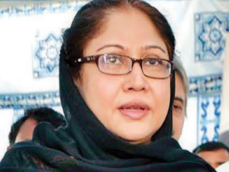 the court was hearing a petition filed by ppp mna faryal talpur