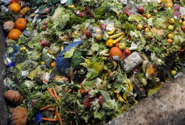 world produces about four billion metric tons of food a year but 1 2 to 2 billion metric tons is not eaten photo afp world produces about four billion metric tons of food a year but 1 2 to 2 billion metric tons is not eaten photo afp