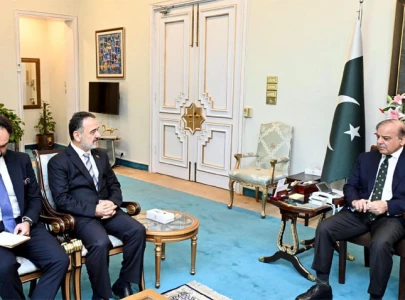 pm shehbaz calls for stronger ties with turkiye in key areas pm shehbaz calls for stronger ties with turkiye in key areas