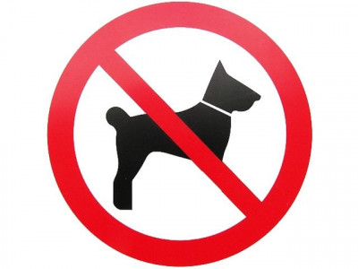 fatal injuries two men die due to dog bite in dour taluka