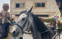 pilgrims from europe arrive in saudi arabia on horseback to perform hajj pilgrims from europe arrive in saudi arabia on horseback to perform hajj