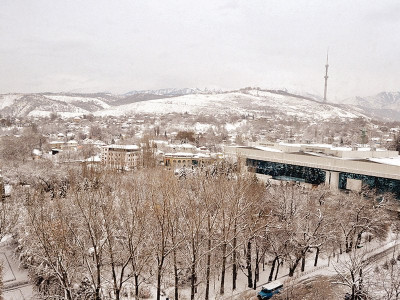 travel for an apple a day go almaty s way