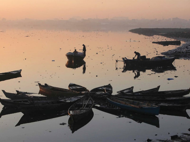 according to the wwf p approximately 1 000 species of fish and 12 of cetacean or marine mammals are found in pakistan s waters china creek is a popular spot among karachi s fishermen photo file according to the wwf p approximately 1 000 species of fish and 12 of cetacean or marine mammals are found in pakistan s waters china creek is a popular spot among karachi s fishermen photo file