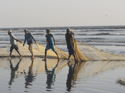 sindh lifts ban on fishing before time sindh lifts ban on fishing before time