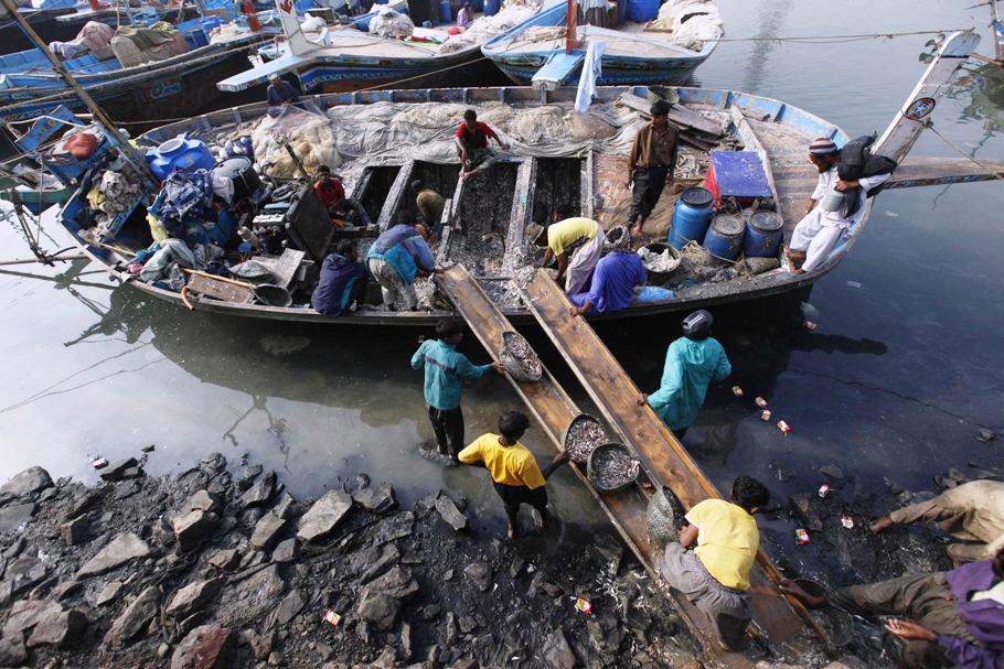 a file photo of fishermen with their day 039 s catch photo reuters