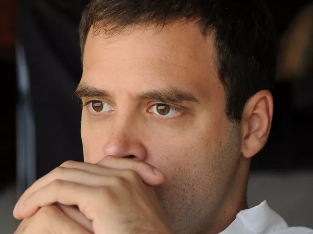 rahul gandhi this weekend was elevated to the position of party vice president photo afp file rahul gandhi this weekend was elevated to the position of party vice president photo afp file