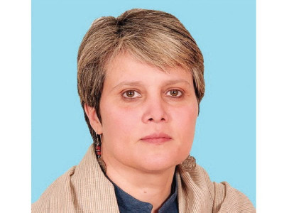 anp asks govt to disclose abbottabad findings anp asks govt to disclose abbottabad findings