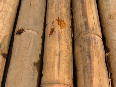 man sails from png to australian island on twig raft