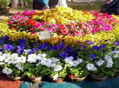 pindi spring festival called off after police raid